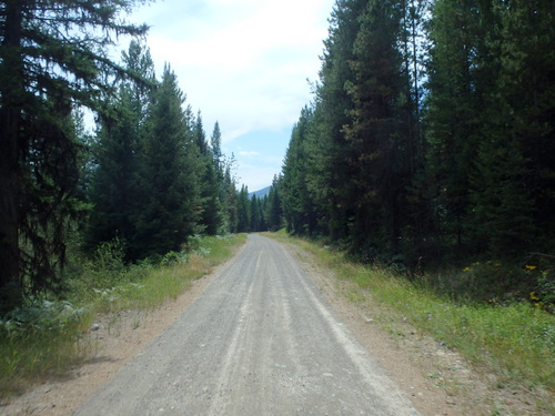 GDMBR: Southbound on NF-903, Cold Creek Road.